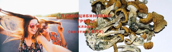 амфетамин Богородицк