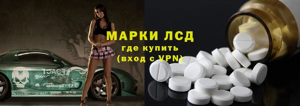 индика Рославль