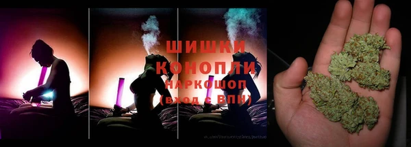 дурь Богданович