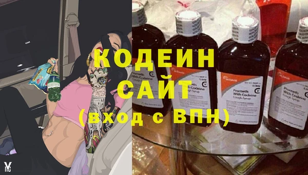 сатива Верея