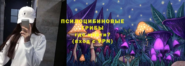 дурь Богданович