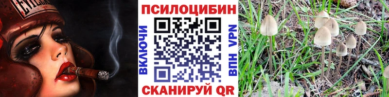 Псилоцибиновые грибы Magic Shrooms  Заозёрный 